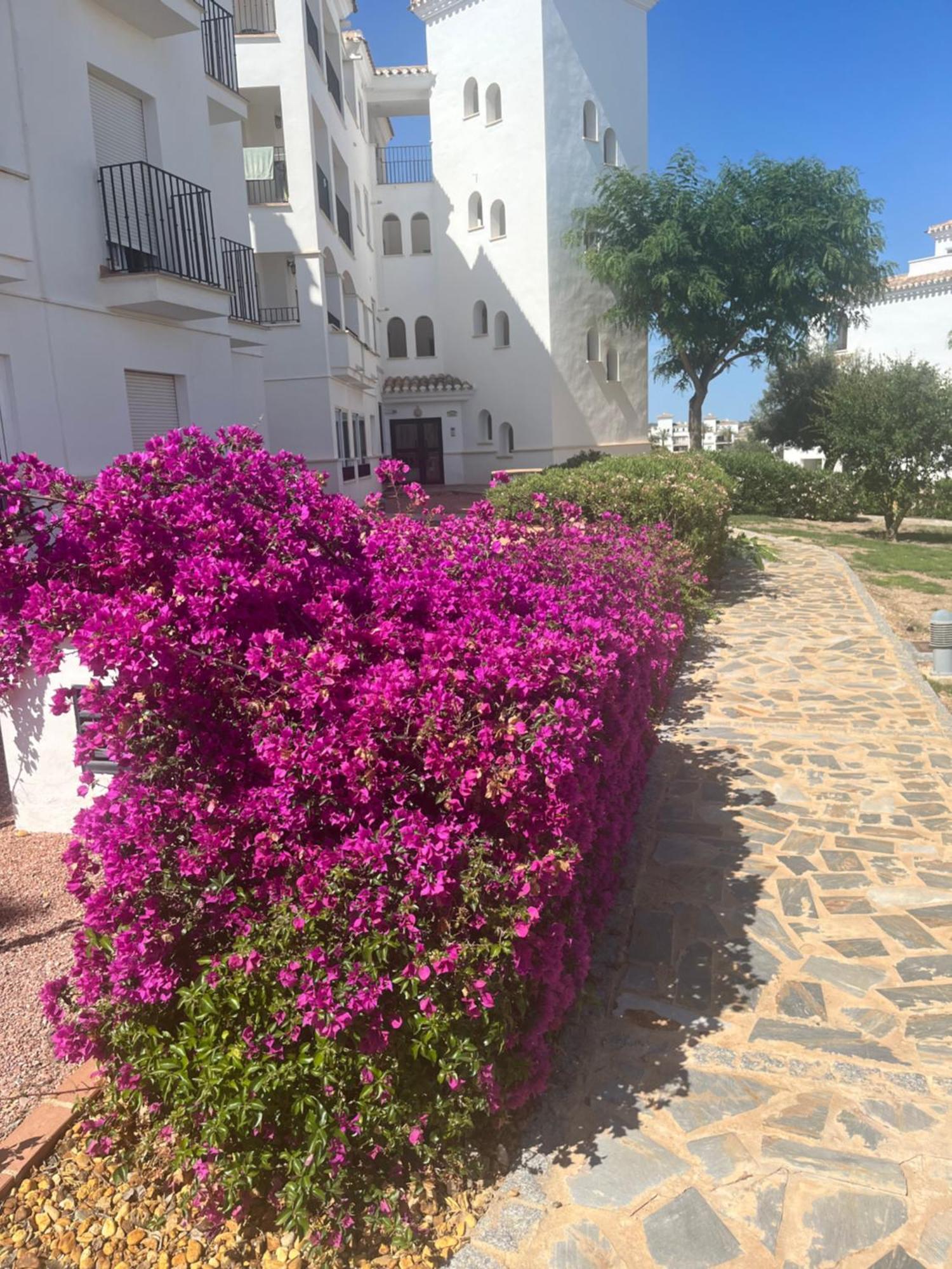 מורסיה La Casa Rosita, Hacienda Riquelme Golf Resort Sucina מראה חיצוני תמונה